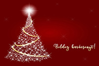 Békés Boldog Karácsonyt és Új esztendőt kívánunk!